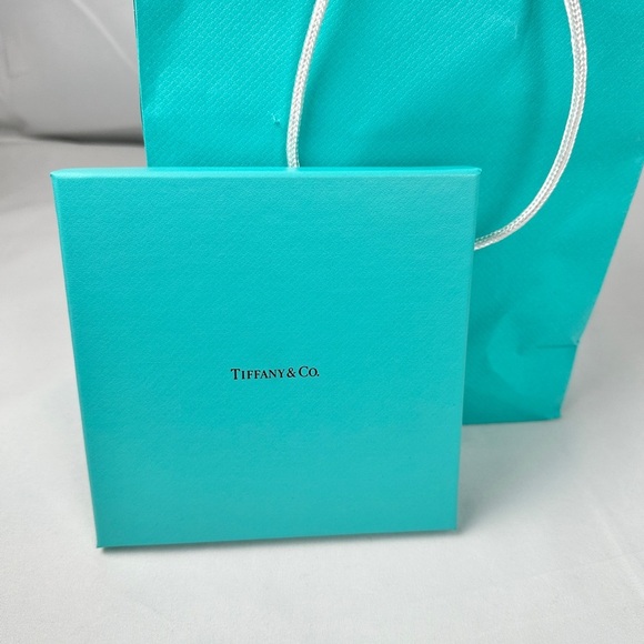 Iconic Tiffany & Co. Cardboard Gift Box - Picture 5 of 11